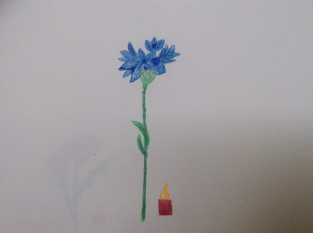 bloem